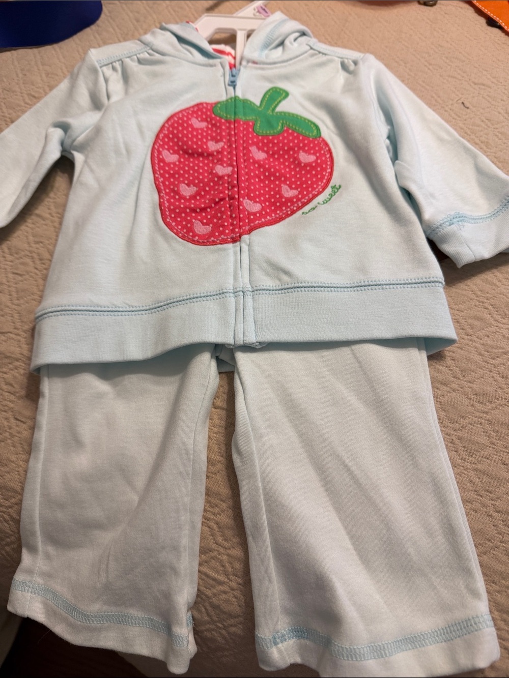 Baby/Toddler Light Blue Hoodie & Pant Set with Pink Strawberry